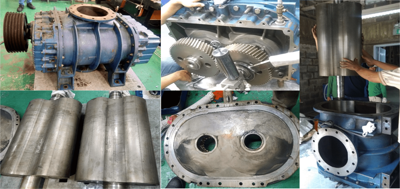 Overhaul Roots Blower